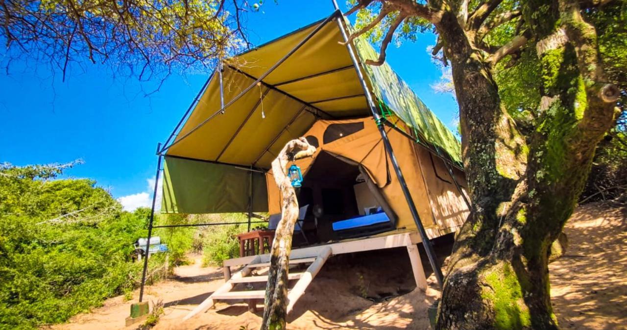 Back Of Beyond Dune Camp Parque nacional Yala Exterior foto